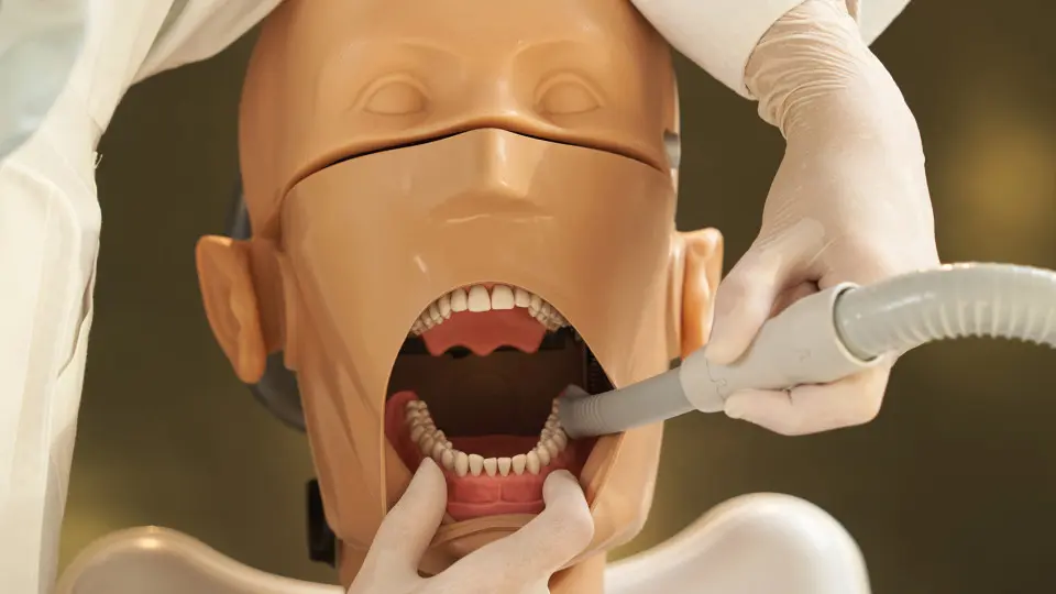 KaVo G50 – realistické kľúčové anatomické rozmery